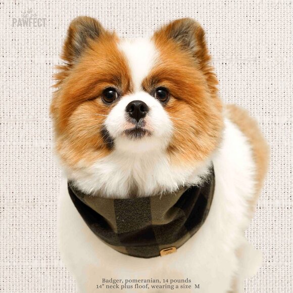 Small Flannel Dog Bandana Infinity Scarf for Small Breeds - Picture 4 of 14